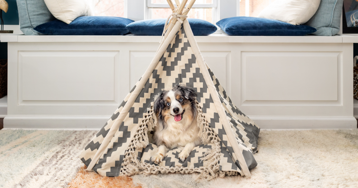 Best dog tent beds
