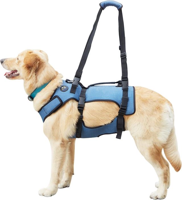 Senior dog shop assist harness