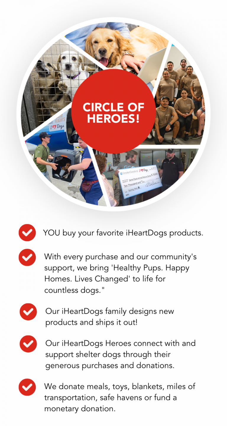 Iheartdogs iHeartDogs Impact Report - Because Every Dog Matters