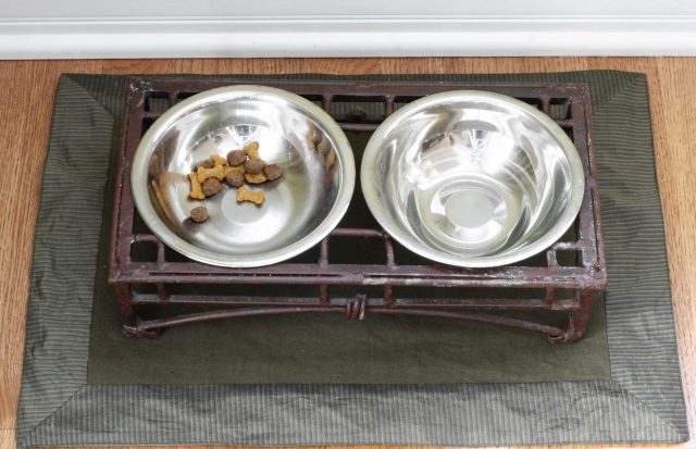 Dog bowls on mat