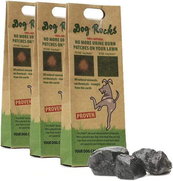 10. Dog Rocks - Prevent Grass Burn Spots