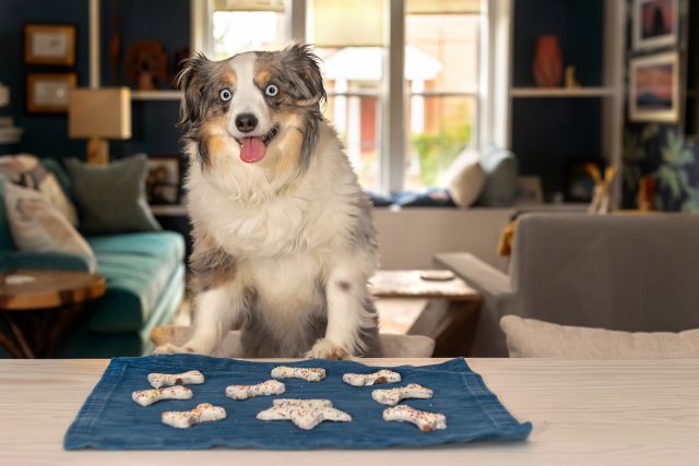 Dog with food mat