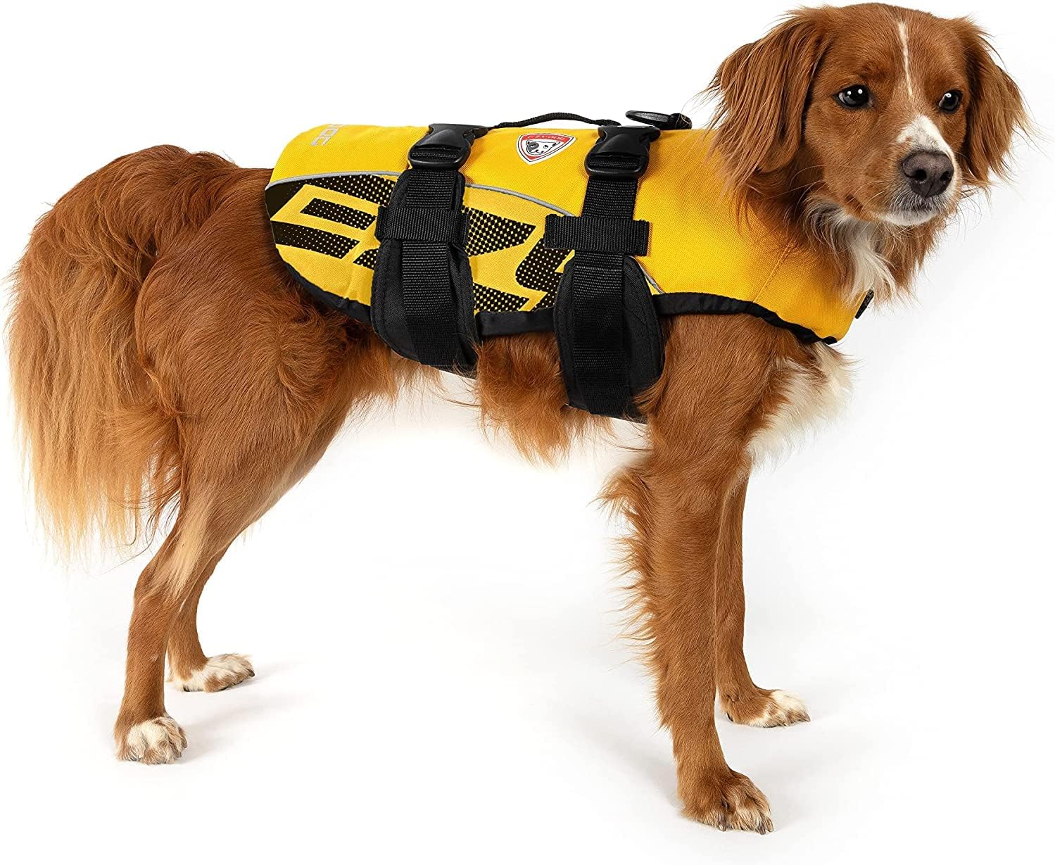 EzyDog Premium Doggy Flotation Device (DFD)