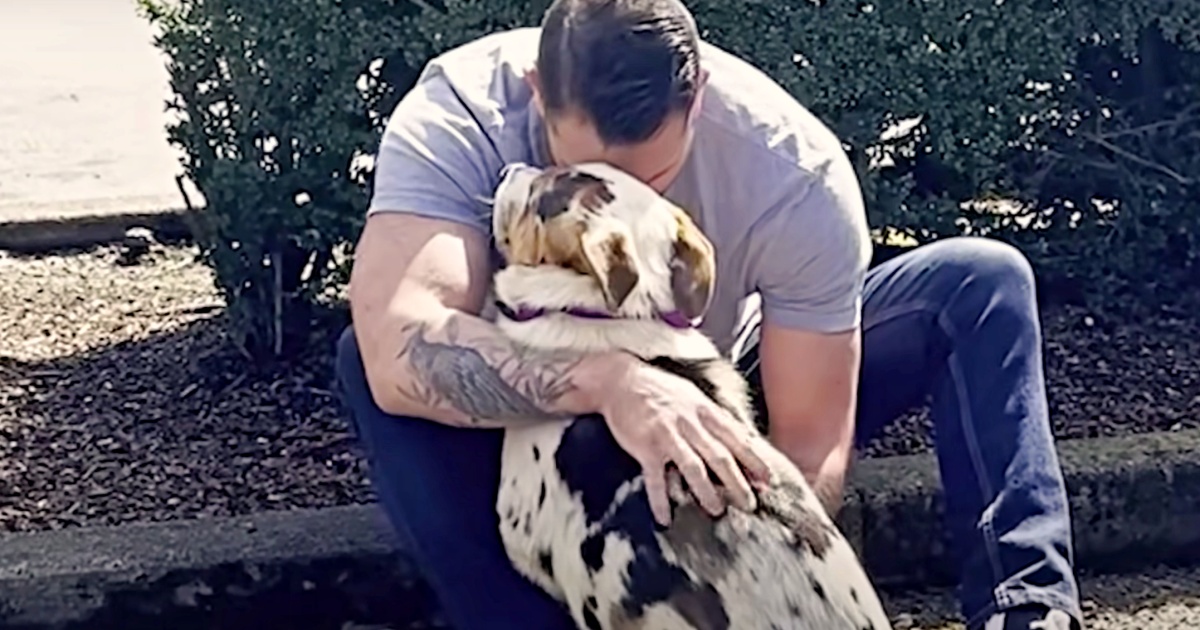 Guy Clutches Hostile Dog From Dumping Ground, Whispers “I Trust Him”
