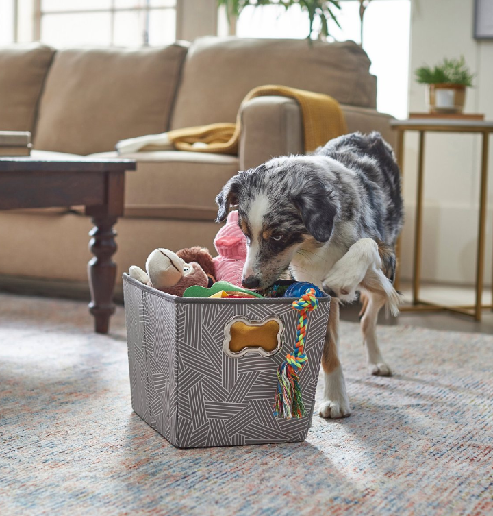 Frisco Rectangle Collapsible Pet Toy Storage Bin