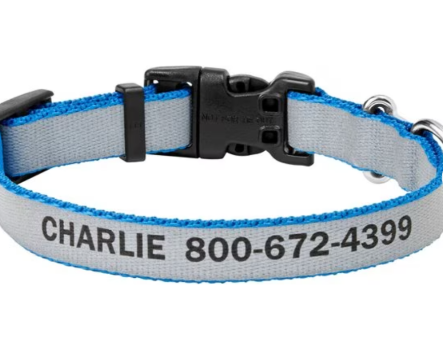 Frisco Polyester Personalized Reflective Dog Collar