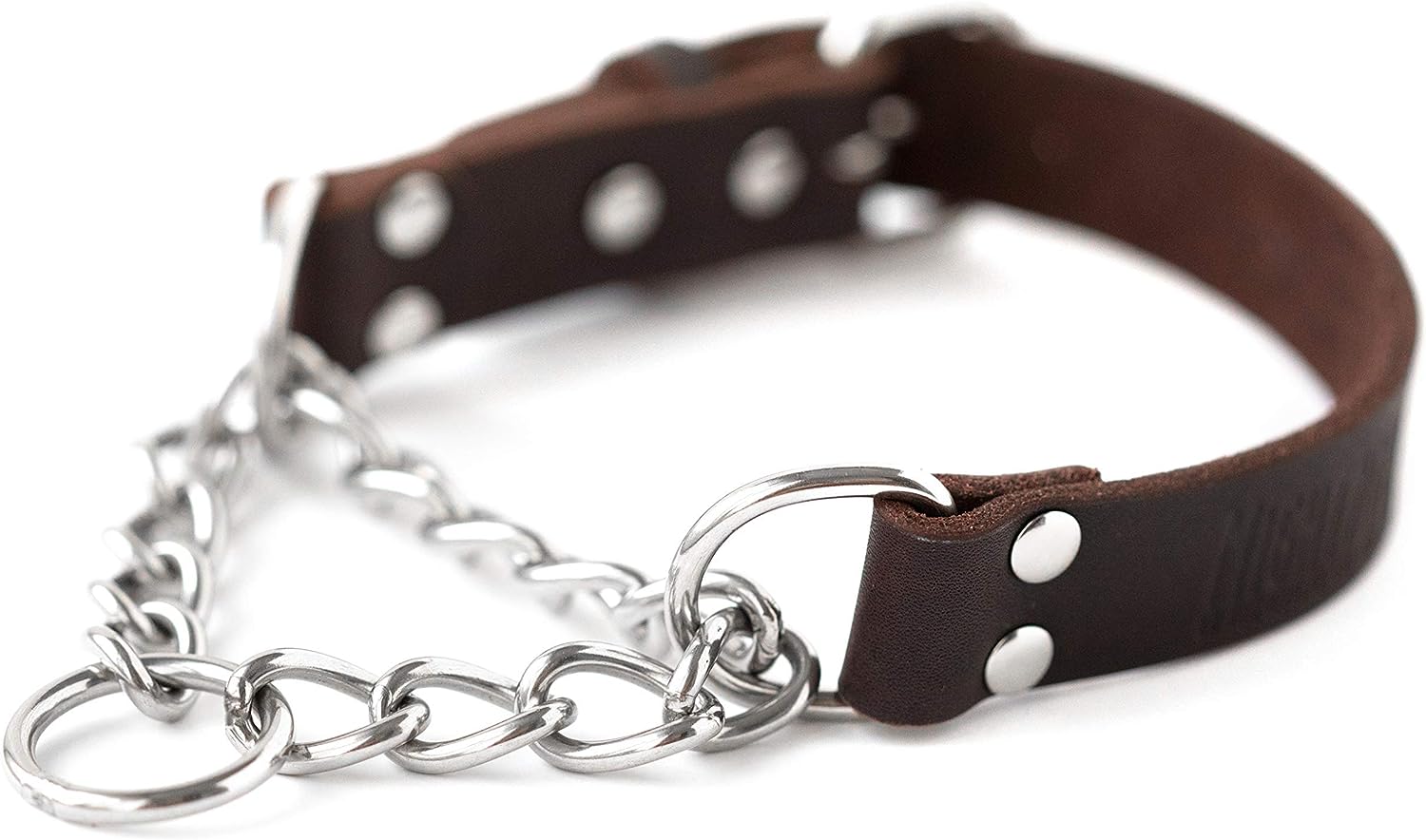 Mighty Paw Premium Leather Martingale Dog Collar