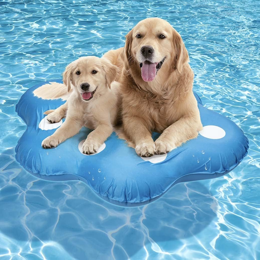 Milliard X-Large Dog Float for Pool