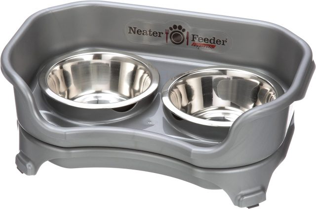Neater Feeder Express for Small Dogs
