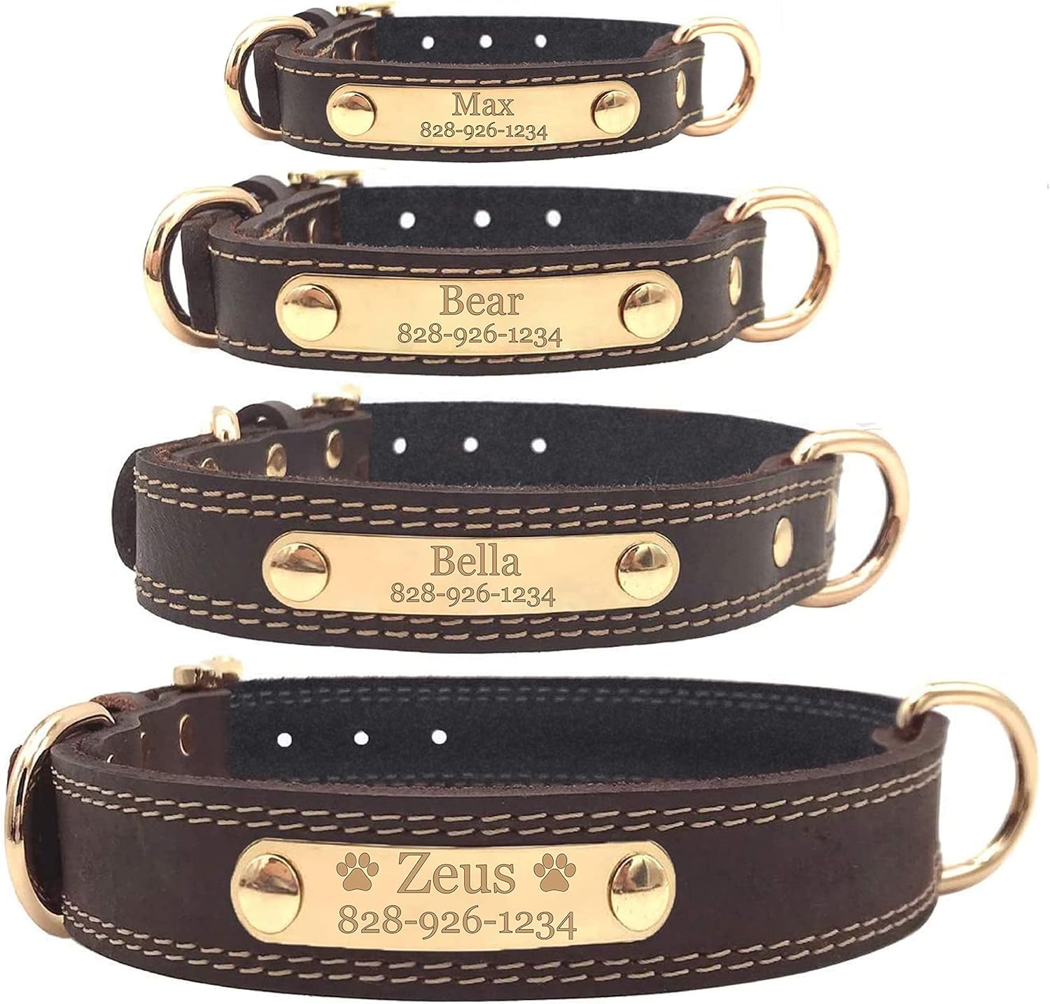 Express Pencils Personalized Dog Collar