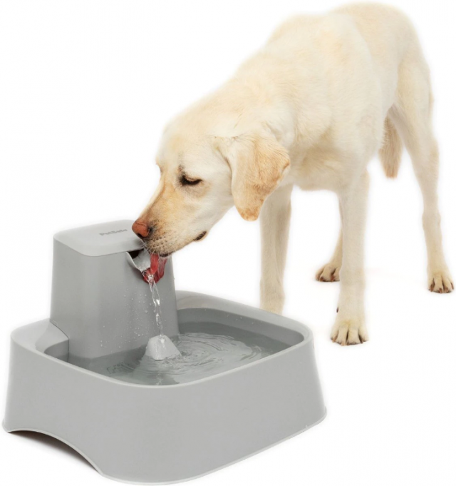 PetSafe drinking fountain Chewy Product