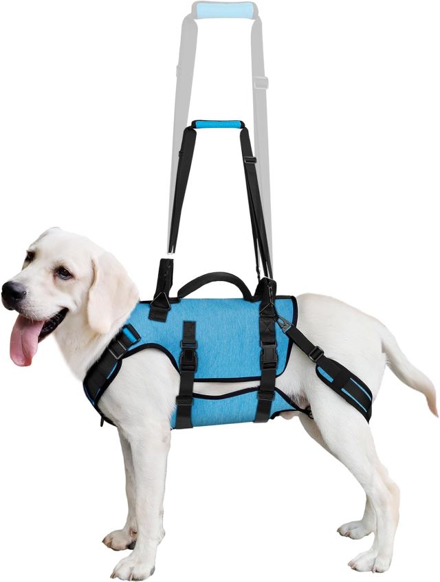 Coodeo dog cheap harness