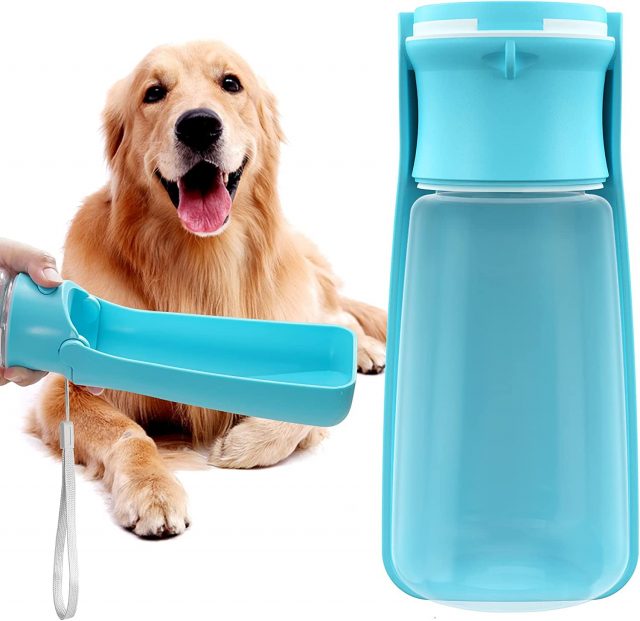 Portable dog water bottle