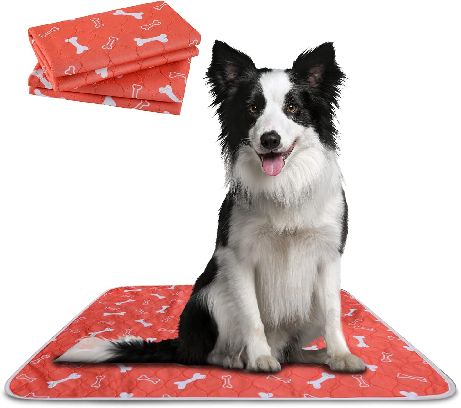 The Proper Pet Washable Pee Pads for Dogs