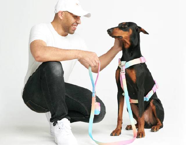 Spark Paws Comfort Control No-Pull Dog Harness