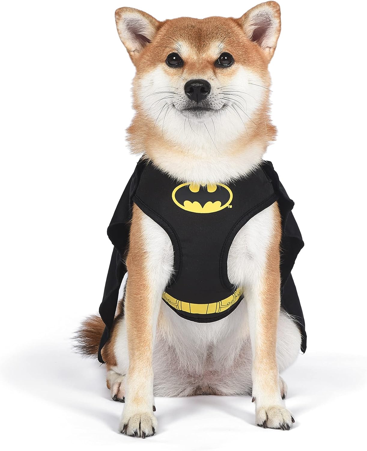 DC Comics for Pets Batman Dog Harness
