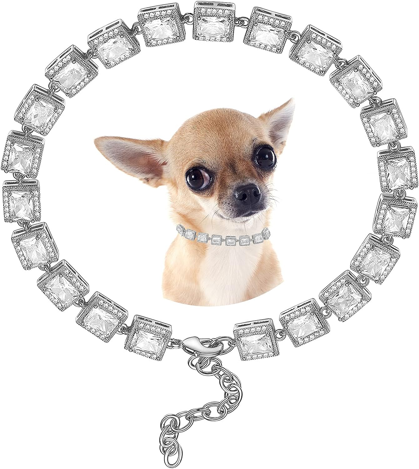 WJHWIP Dog Collars Iced Out Tennis 5A Cubic Zirconia Bling