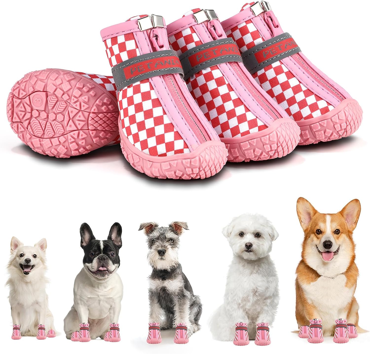 Petanims Dog Shoes