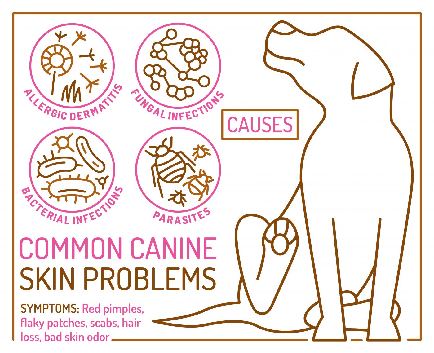 Cytopoint for Dogs: Breakthrough Treatment For Itchy Skin – But Is It Safe?