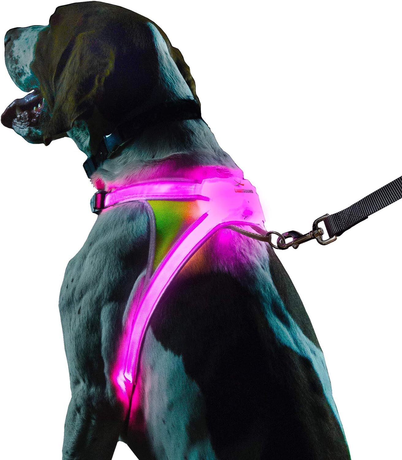 Noxgear LightHound - Multicolor LED Illuminated, Reflective Dog Harness