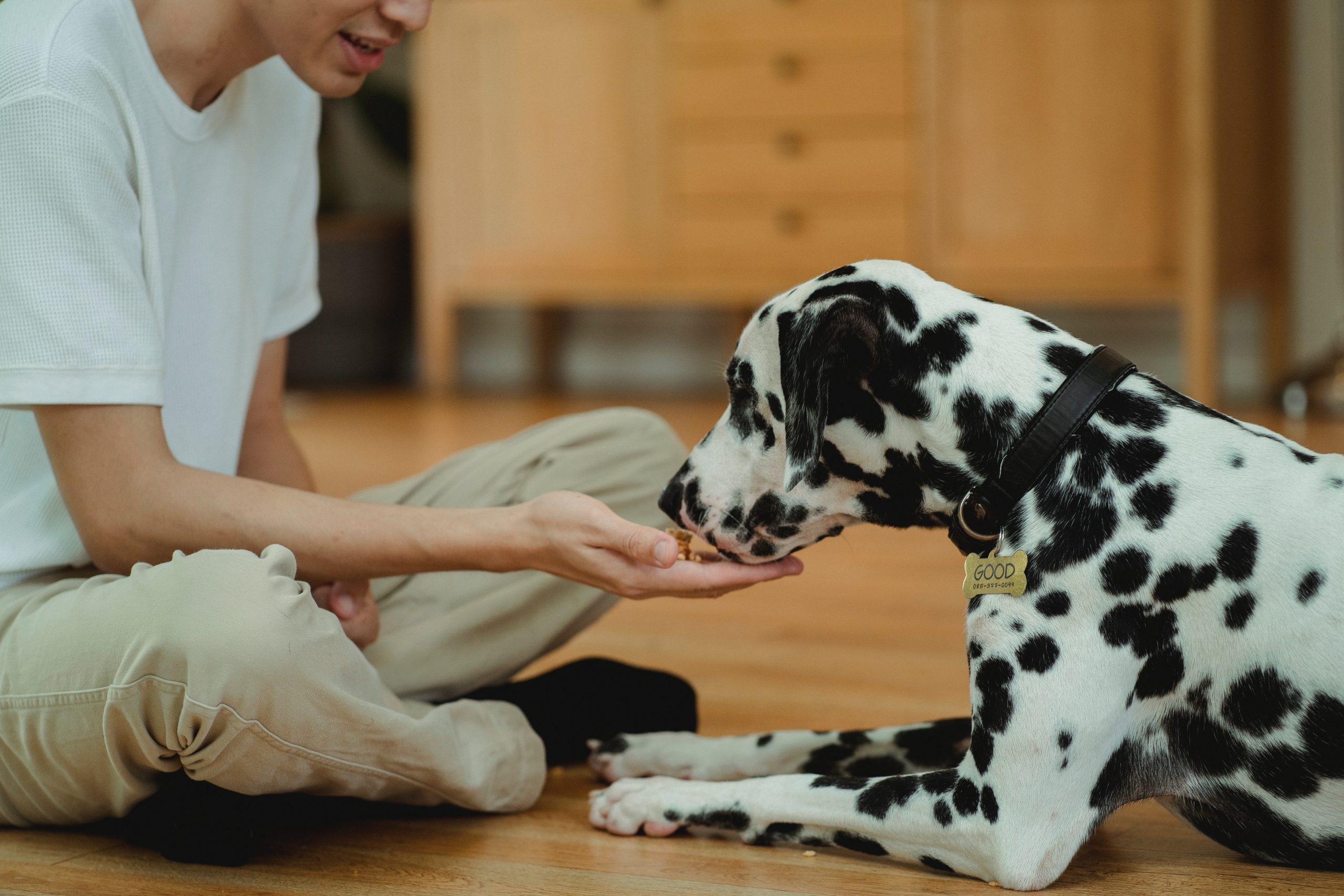 10 Best Beef, Chicken & Pork Heart Dog Treats