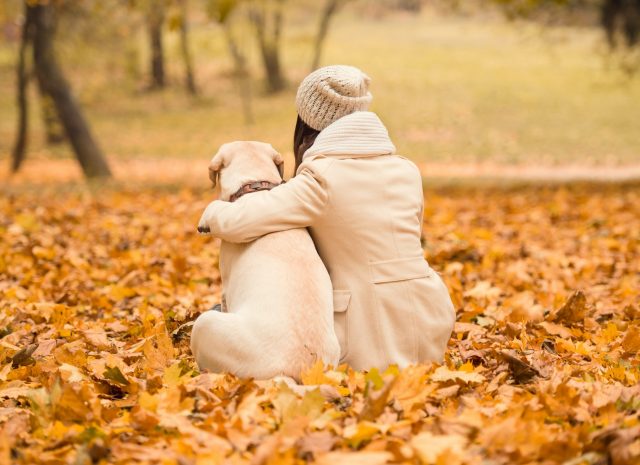 fall products for dog lovers