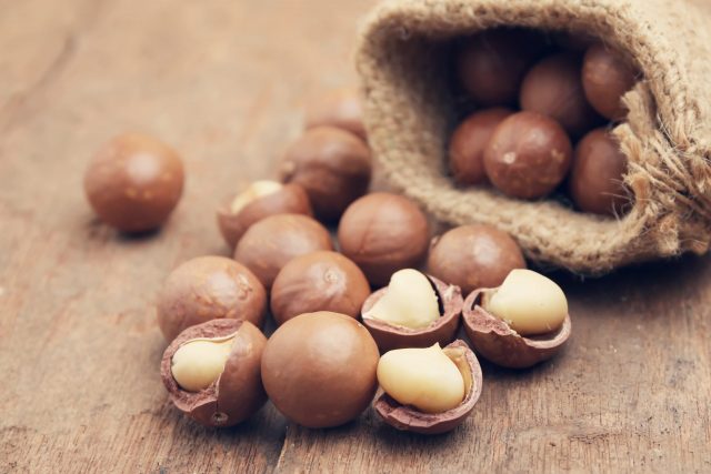 are macadamia nuts bad for dogs
