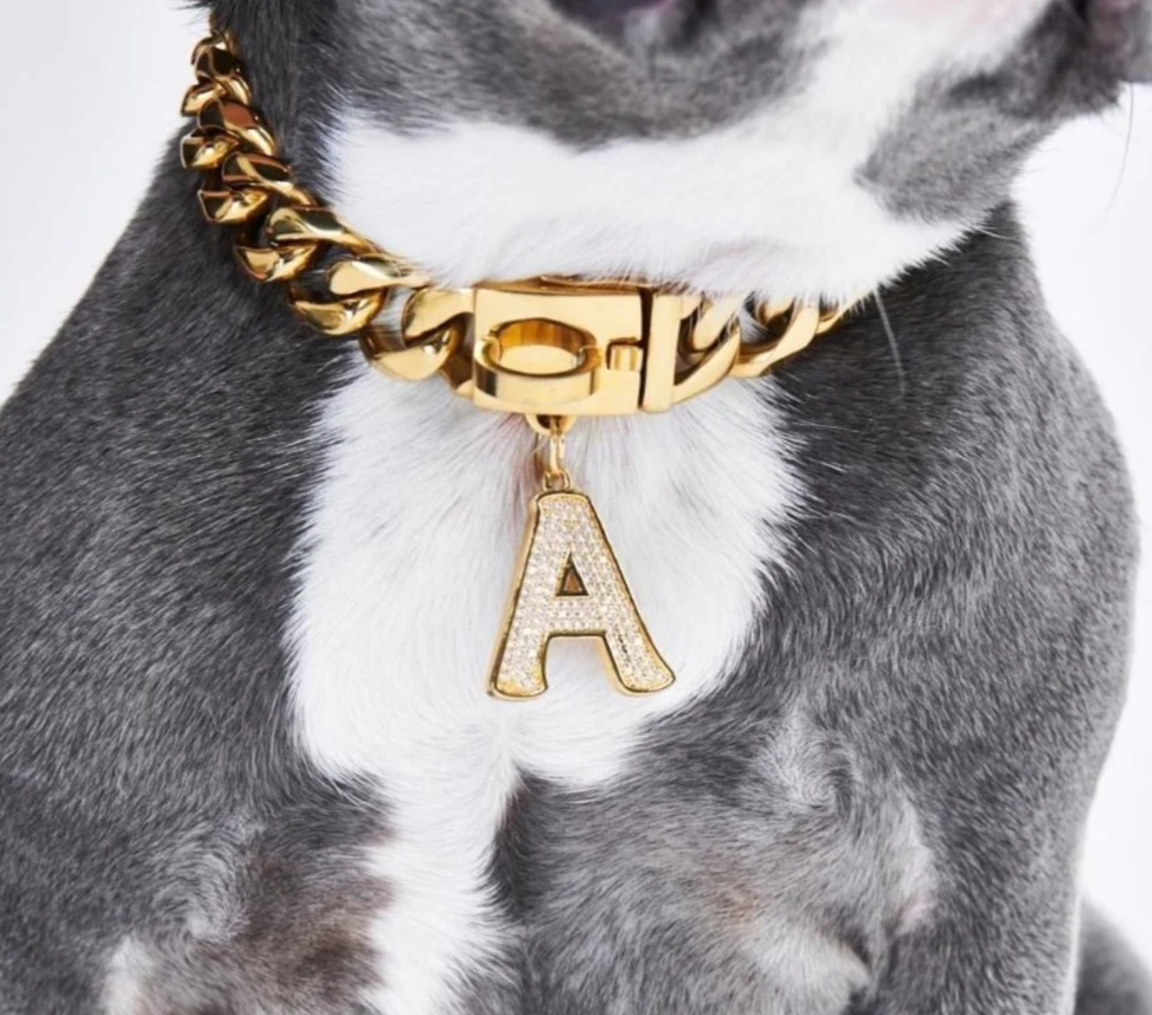 Spark Paws Dog Jewelry Charm Tag