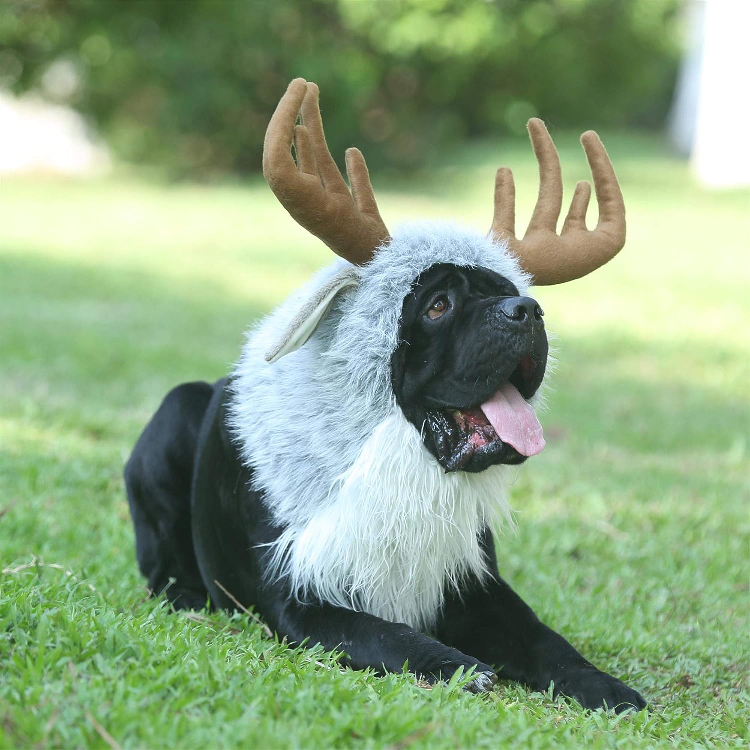 Onmygogo Funny Dog Halloween Costumes – Moose