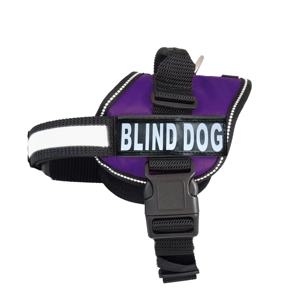 Removable Reflective Dog Patches - CUSTOM - Tough Pup