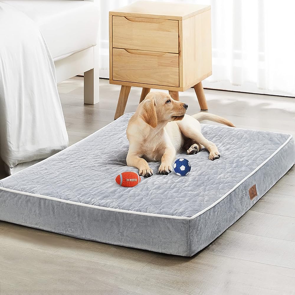 JOEJOY Dog Bed Crate Pad, Ultra Soft Calming Dog Crate Bed Washable  Anti-Slip Kennel Crate Mat for Medium Small Dogs, Dog Mats for Sleeping and  Anti