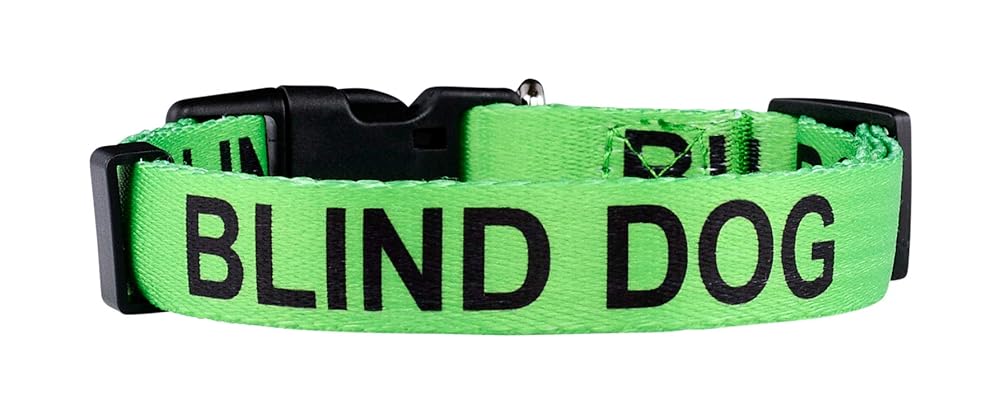 The Best Dog Harness for Your Blind Dog & Usage Tips – Dogster