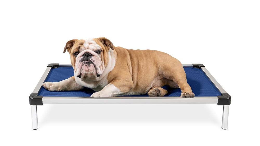 9 Best K9 Ballistics Dog Beds