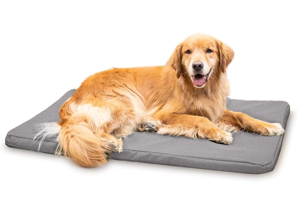 Chew Proof Armored™ Padded Elevated Dog Crate Bed