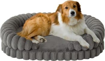 BALANCE Calming Dog Bed for Large Sized Dogs