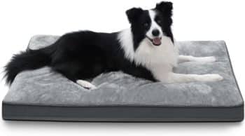 NUPIDA Large Plush Dog Bed