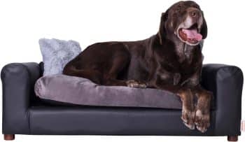 Moots Premium Leatherette Pets Sofa