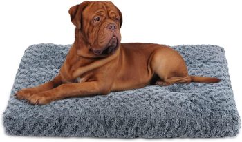 Washable Medium Dog Bed