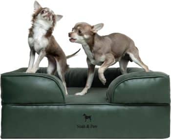 NOAH & PAW Dog Bed