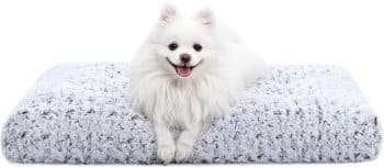  KSIIA Washable Dog Bed