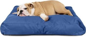 K9 Ballistics Tough Rectangle Pillow Dog Bed
