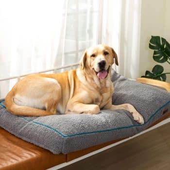 pettycare Washable Beds for Medium and Large Dogs