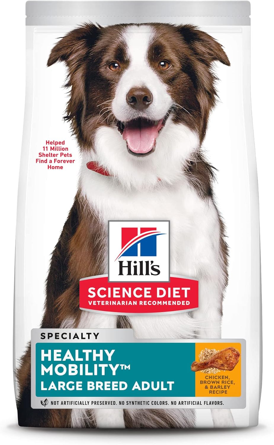 Best dog food store for joint mobility