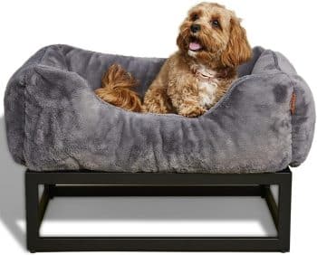FUZI Elevated Dog Bed, Luxury Raised Dog Beds