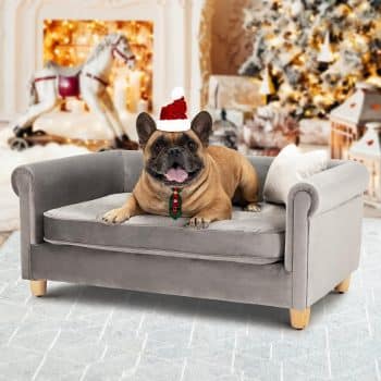 dCee Dog Sofa Bed for Medium Dogs