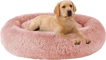  MFOX Calming Dog Bed