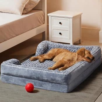 WNPETHOME Orthopedic Washable Dog Bed Large for Senior Dog Cozy Sleep