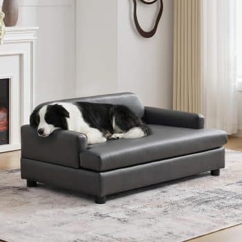 Luxury Dog Sofa Bed Elevated Pet Couch