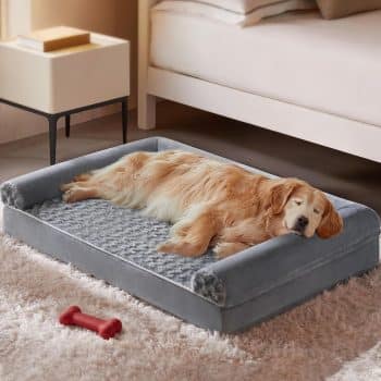 BFPETHOME Orthopedic Washable Large Dog Bed