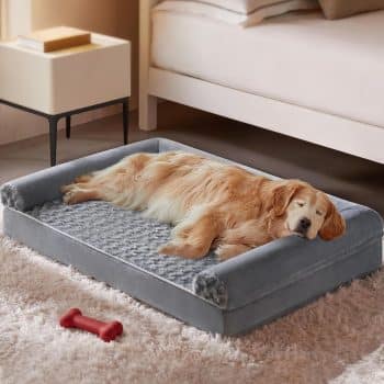 BFPETHOME Orthopedic Washable Large Dog Bed